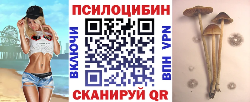 Купить где  Ессентуки  Псилоцибиновые грибы мухоморы 